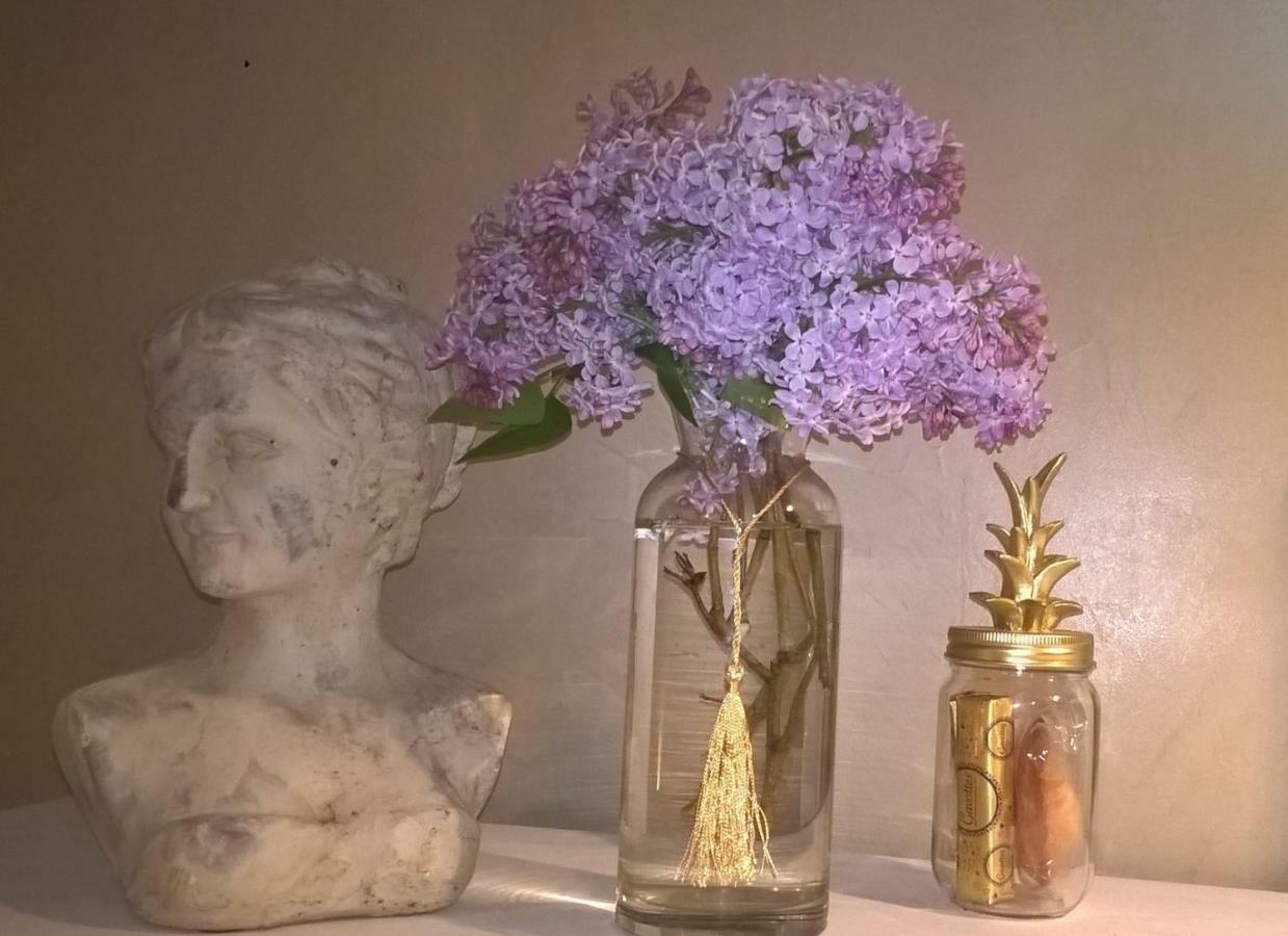 ルマン Le Clos Manceau Bed & Breakfast エクステリア 写真
